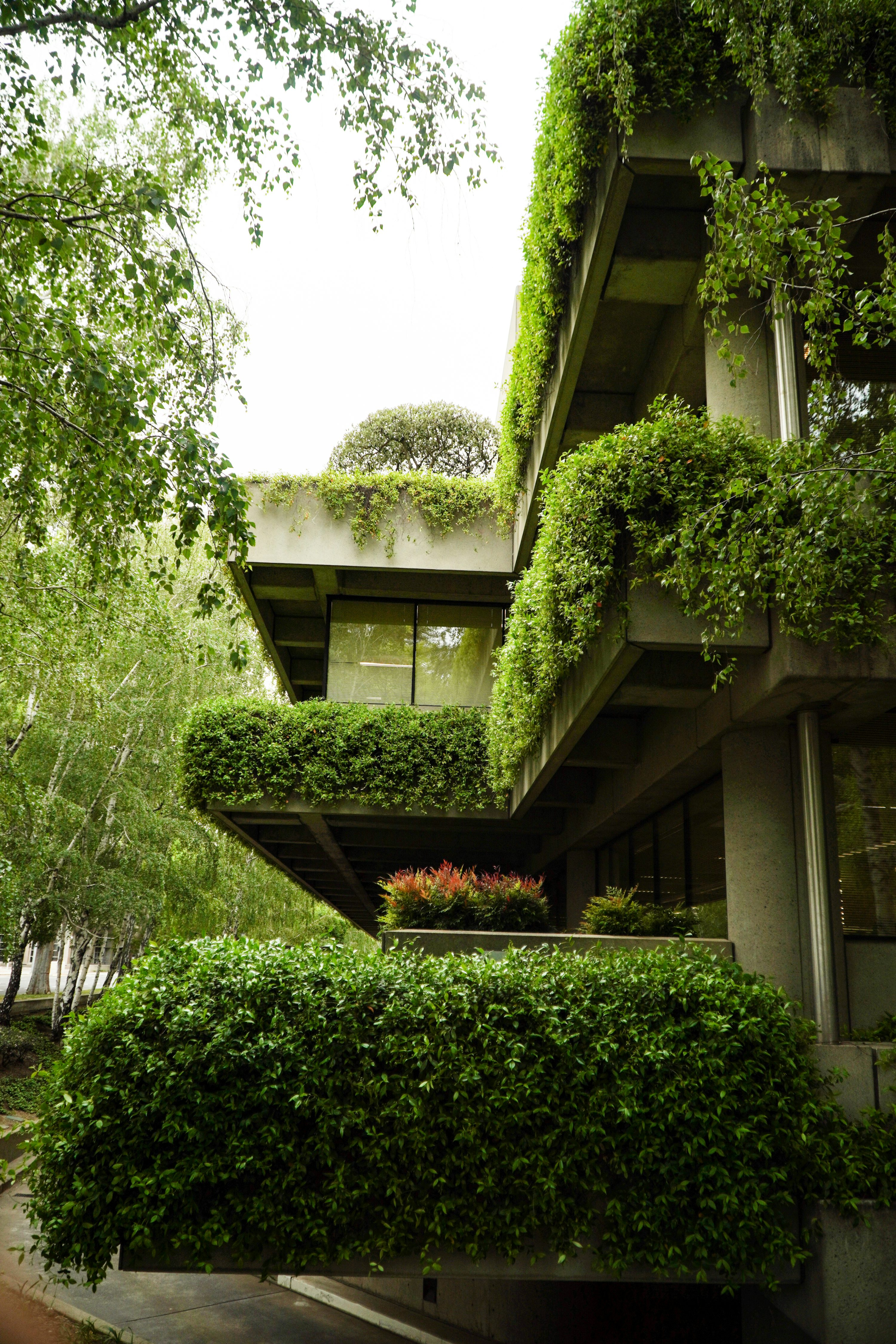 concrete house in lush environment